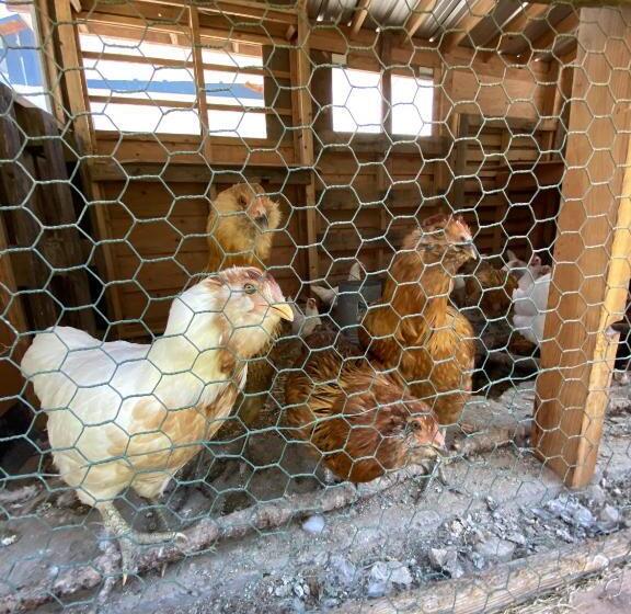 Мотель Columbia Point Resort