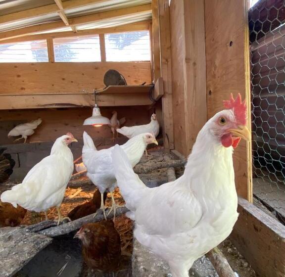 Мотель Columbia Point Resort