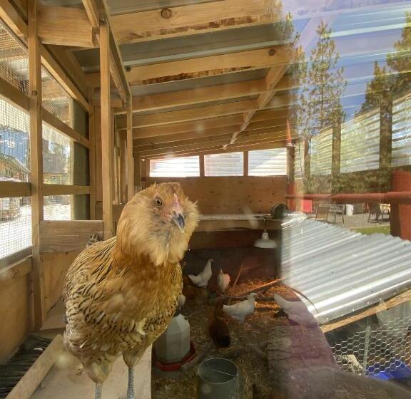 Мотель Columbia Point Resort