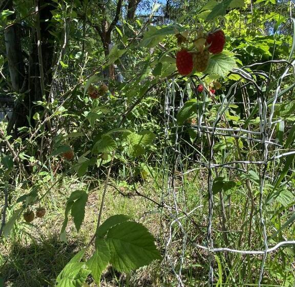 Мотель Columbia Point Resort