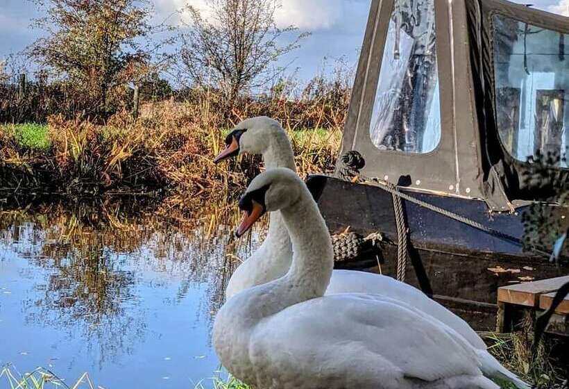 Narrowboat With Hot Tub, Spa, Cruising And More