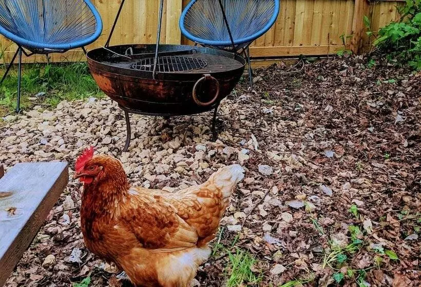 Narrowboat With Hot Tub, Spa, Cruising And More