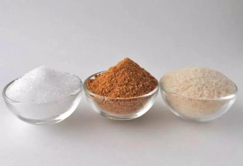 Yangpyeong Beulleosseom Pet Spa Pension