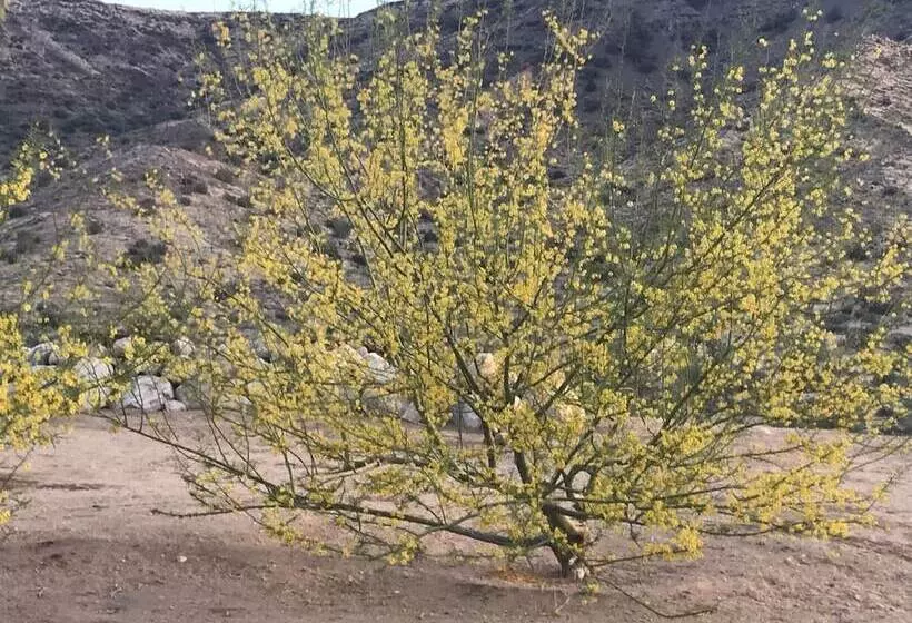 Aamiaismajoitus (B&B) Starlight Boutique