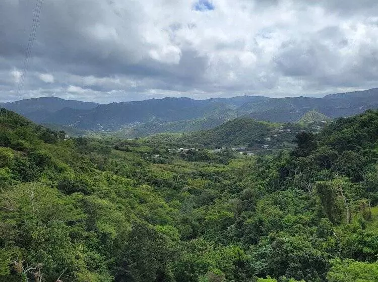 تختخواب و صبحانه Villa Gringo Farms