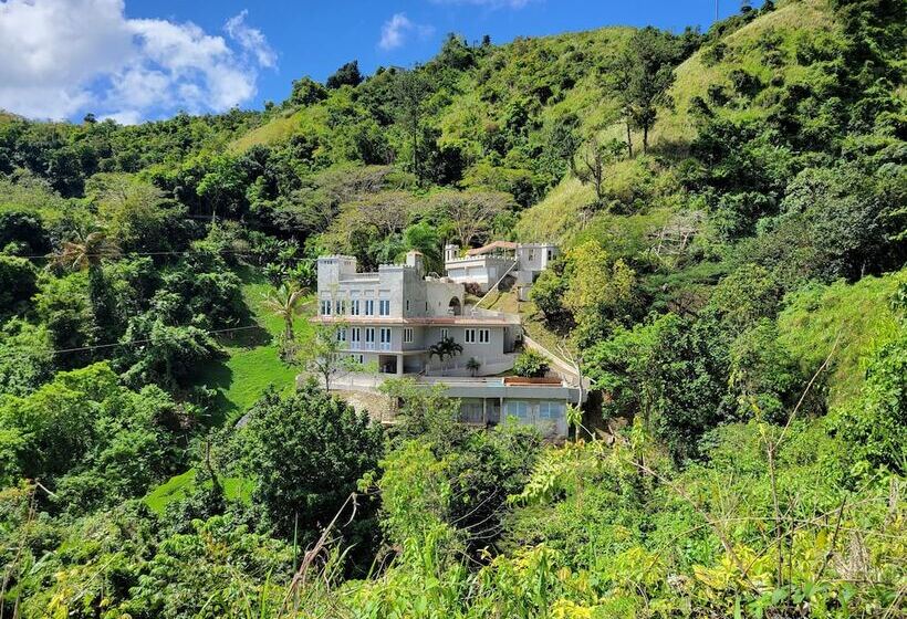 تختخواب و صبحانه Villa Gringo Farms