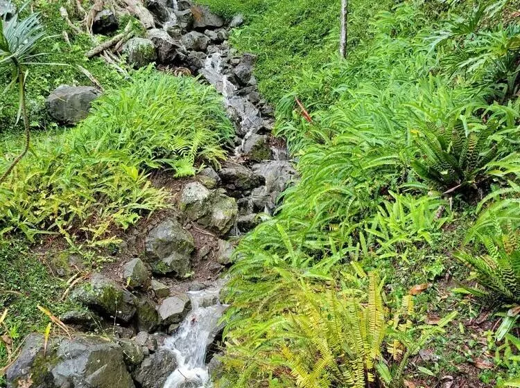 تختخواب و صبحانه Villa Gringo Farms