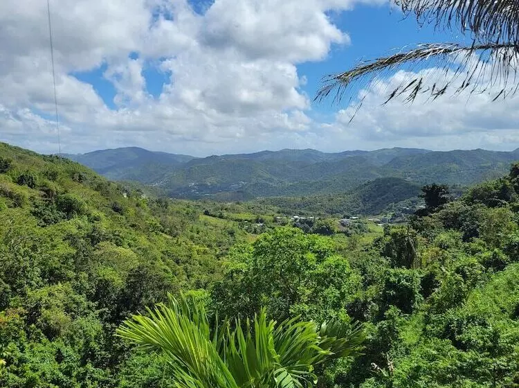 تختخواب و صبحانه Villa Gringo Farms