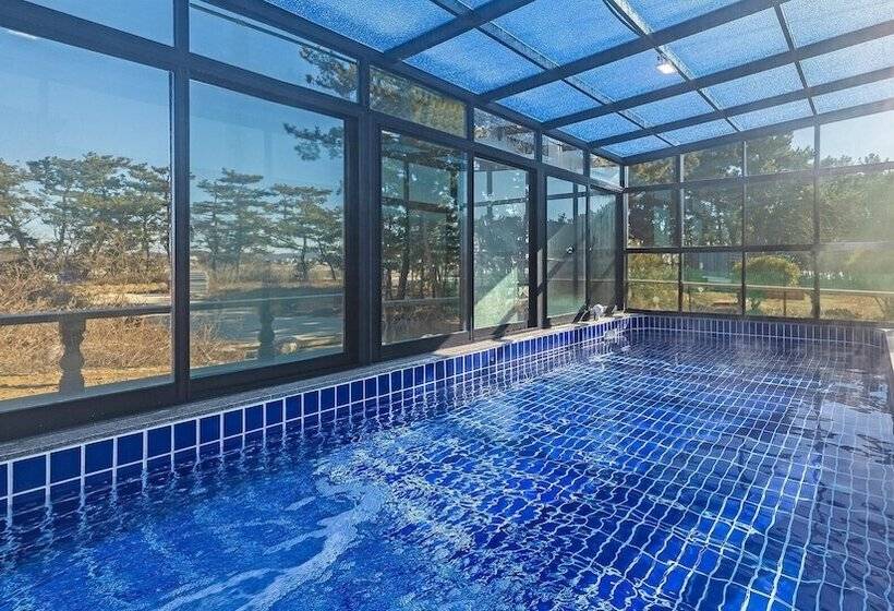 Daebudo Juni Pension