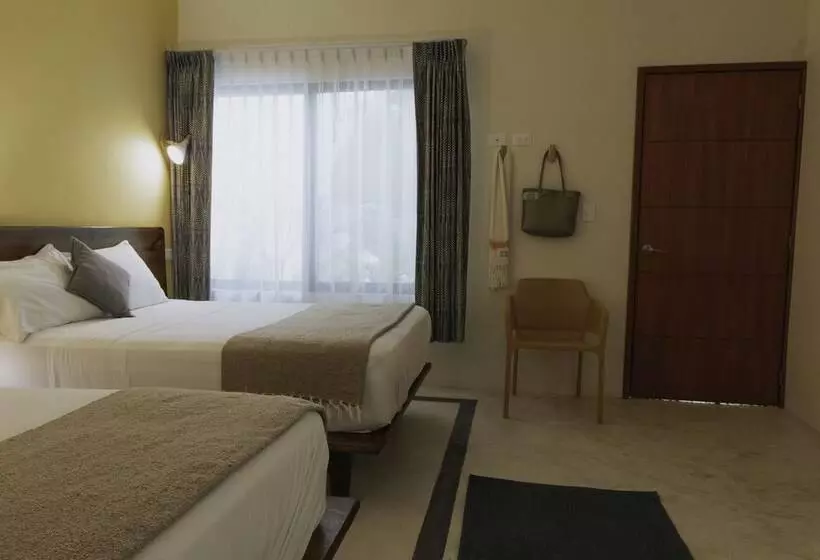 Hotelli Aurora