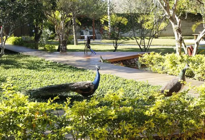 Hotelli Rancho Litoral Búzios