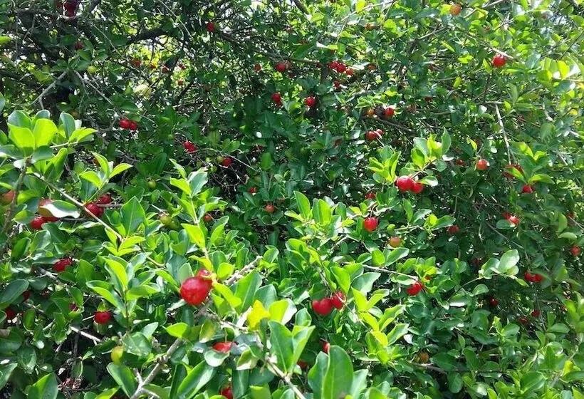 Hotelli Rancho Litoral Búzios