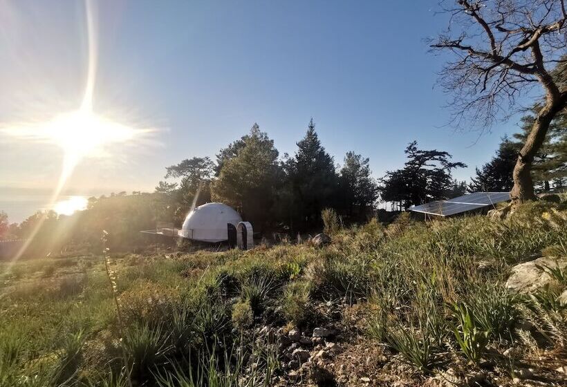 בית מלון כפרי Türkdomes Glamping