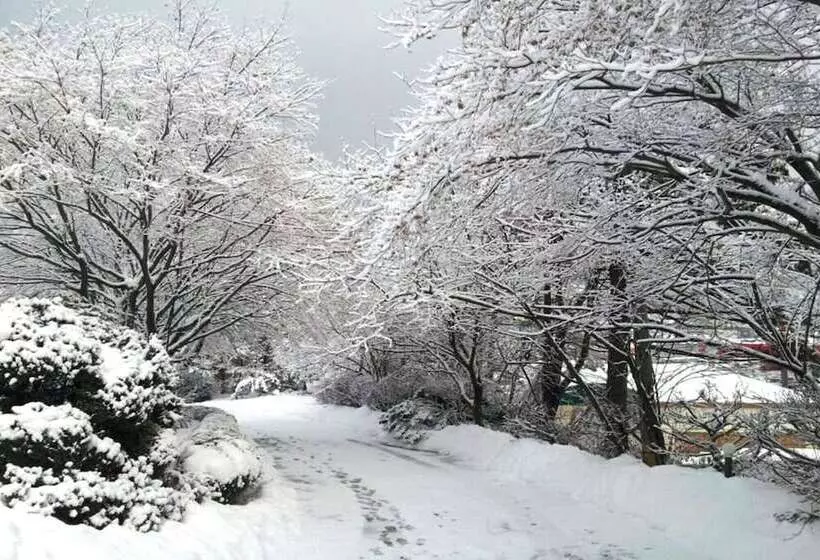 モーテル Pocheon Supsogui Gungjeon
