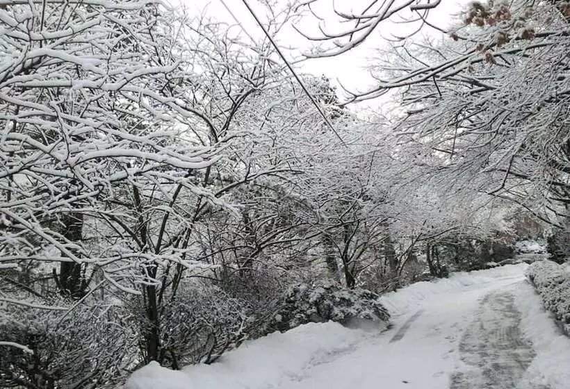 モーテル Pocheon Supsogui Gungjeon