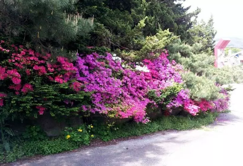 モーテル Pocheon Supsogui Gungjeon