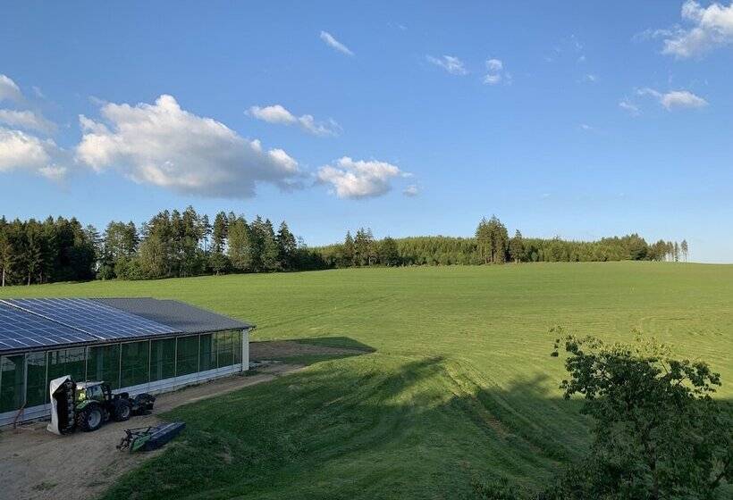 Pension Wittgensteiner Schweiz