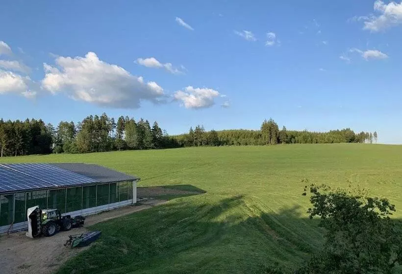 Pension Wittgensteiner Schweiz