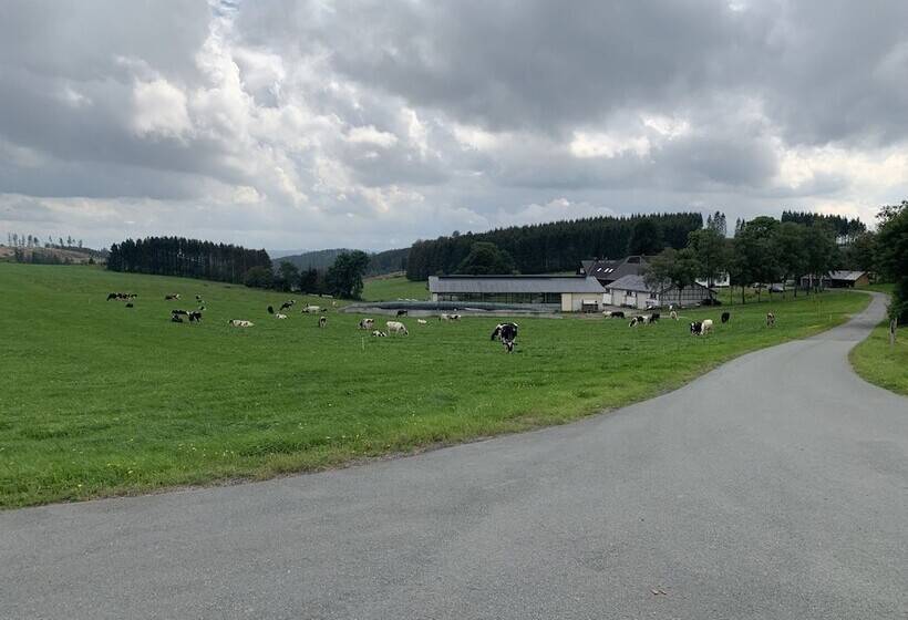 Pension Wittgensteiner Schweiz