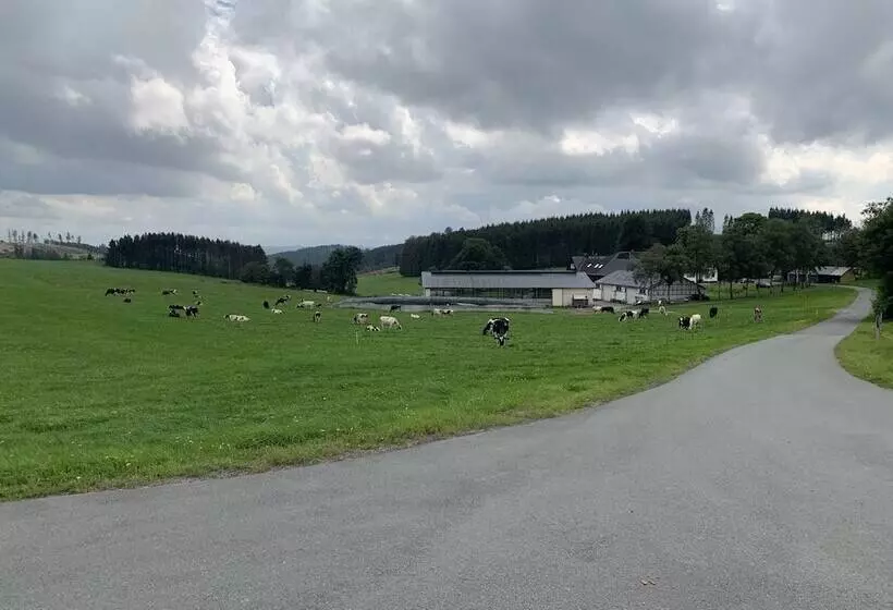 Pension Wittgensteiner Schweiz