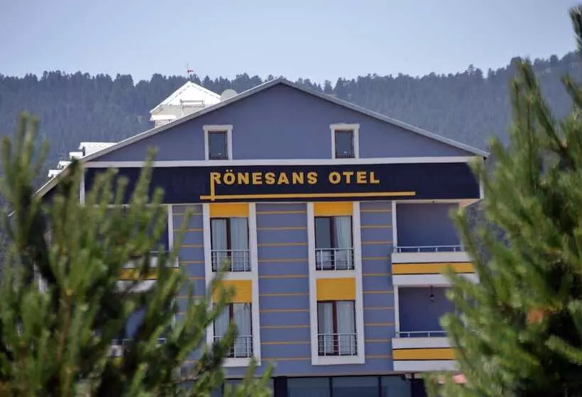Ronesans