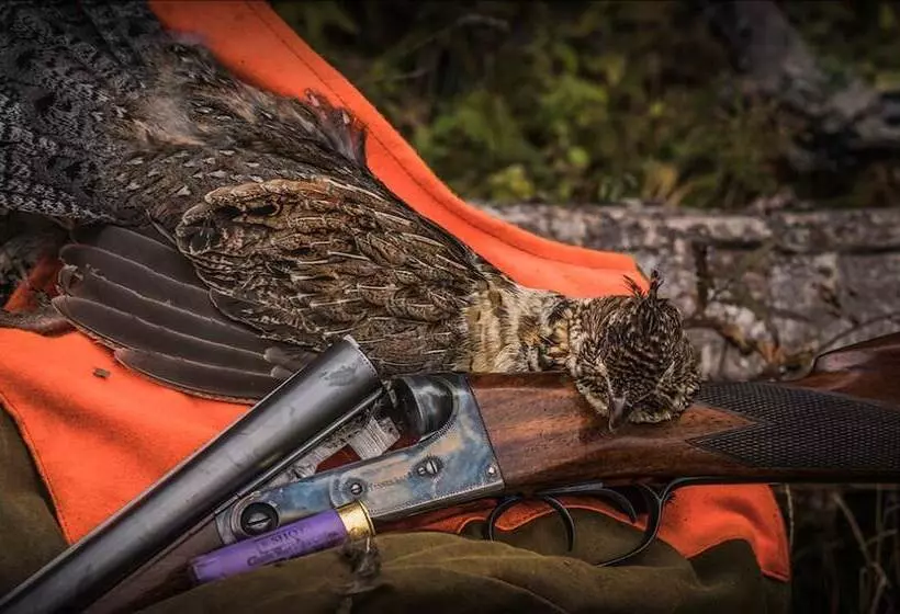 Aamiaismajoitus (B&B) North Branch Outing Club