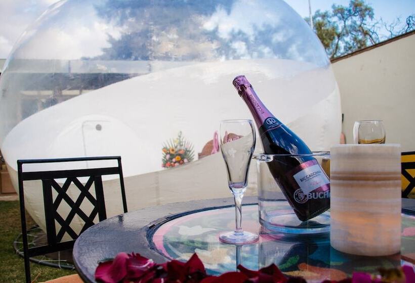 Glamping Amate   Hotel Burbuja