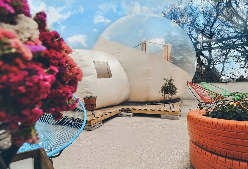 Glamping Amate   Hotel Burbuja