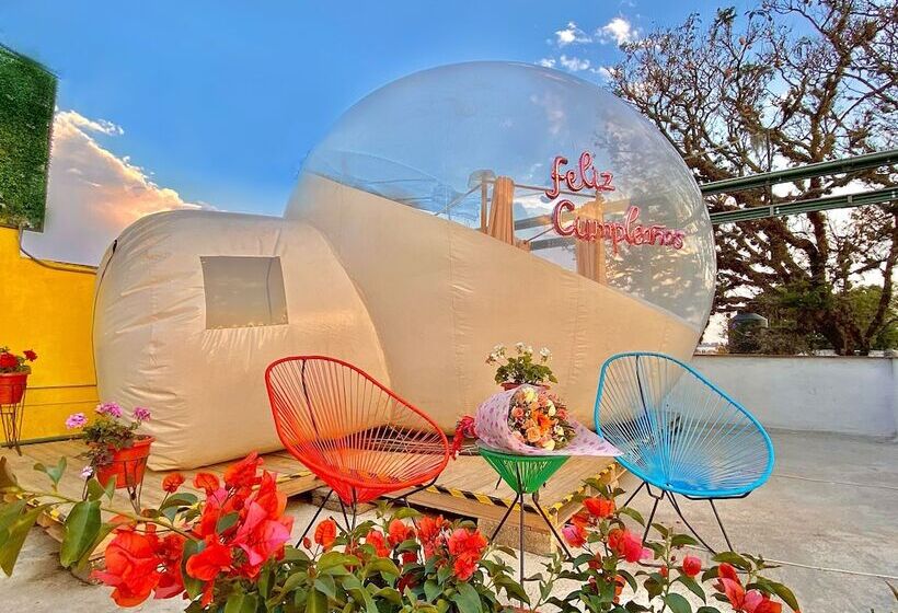 Glamping Amate   Hotel Burbuja