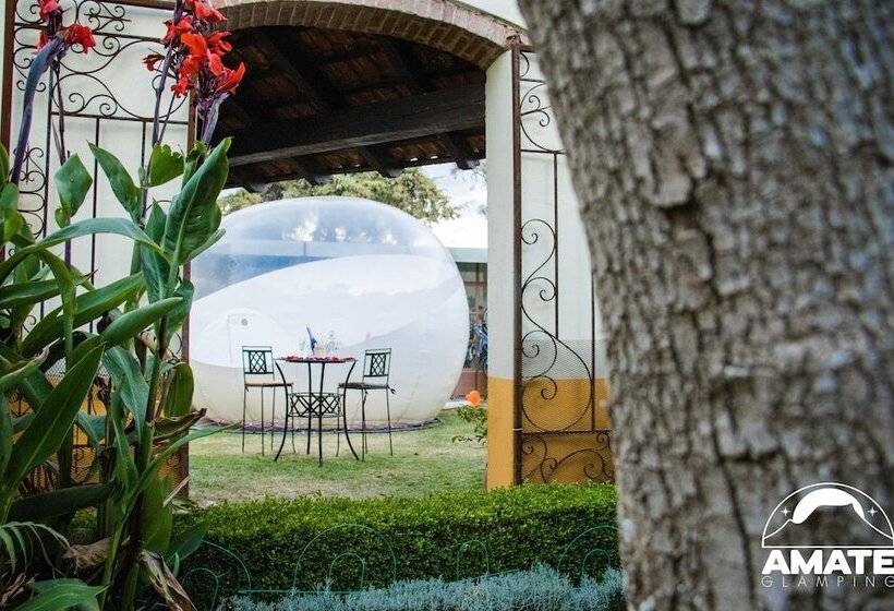 Glamping Amate   Hotel Burbuja