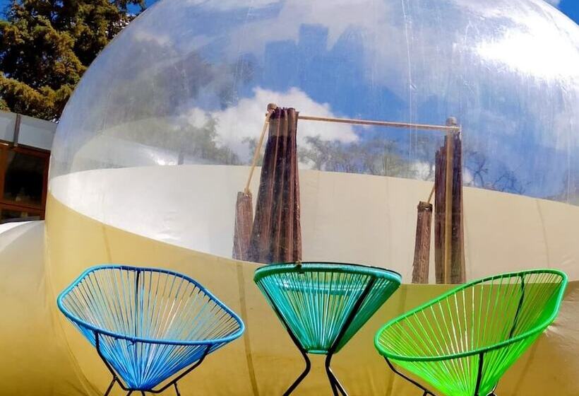 Glamping Amate   Hotel Burbuja