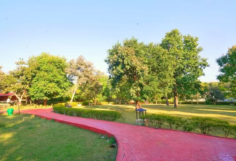 Hotelli Bundela Bandhavgarh By Octave