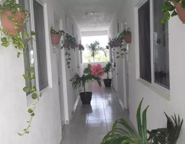 Hotelli Las Palmas Puerto Morelos