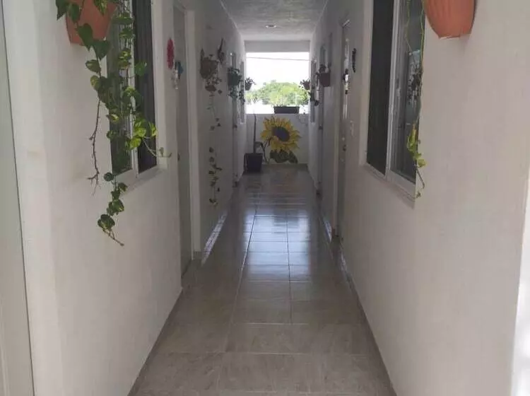 Hotelli Las Palmas Puerto Morelos