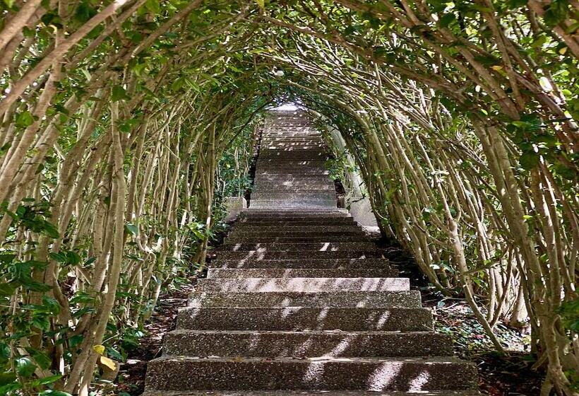 Szálloda Paraíso Sol