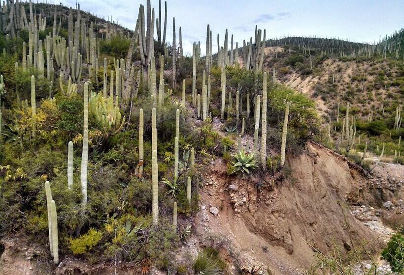 فندق Villa Jardines