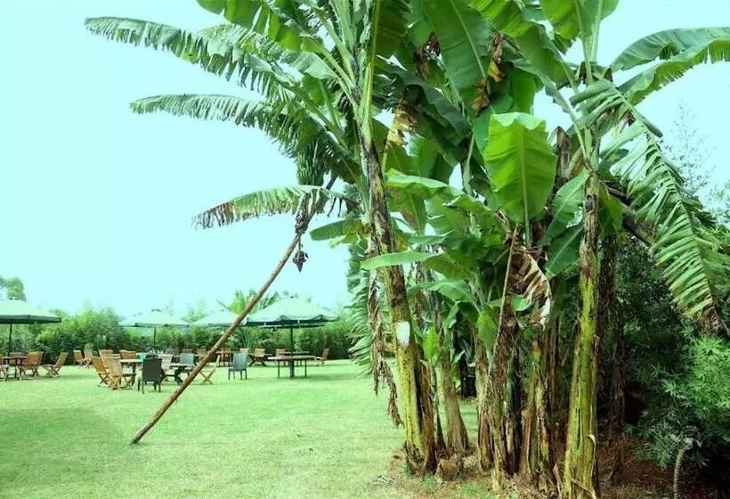 هتل Viva Gardens