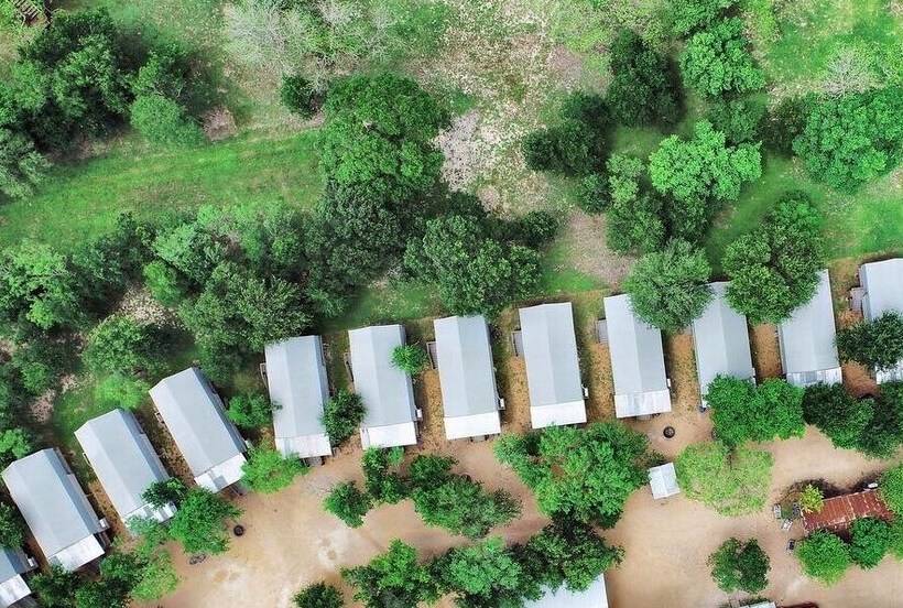 15 Son S Geronimo Birdhouse Cabin