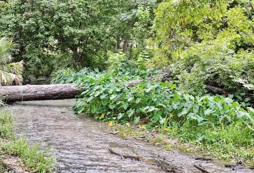 15 Son S Geronimo   Birdhouse Cabin