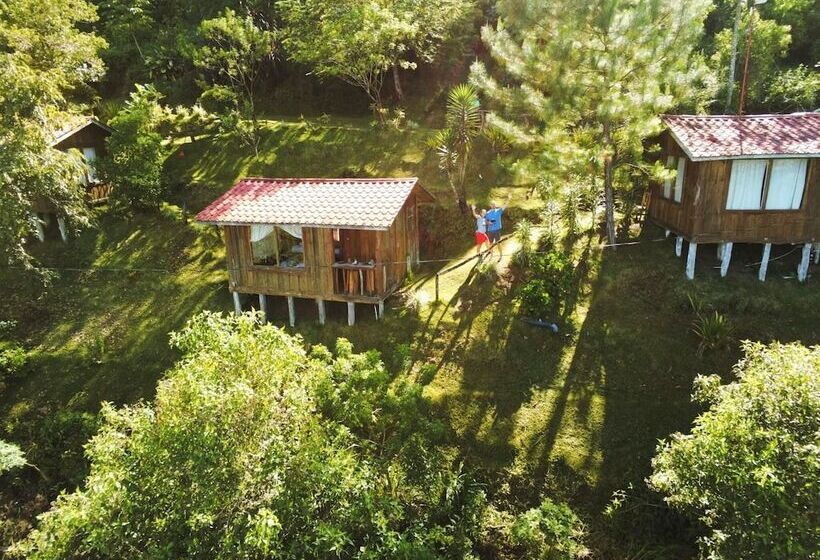 فندق Cabañas Don Camilo Lodge
