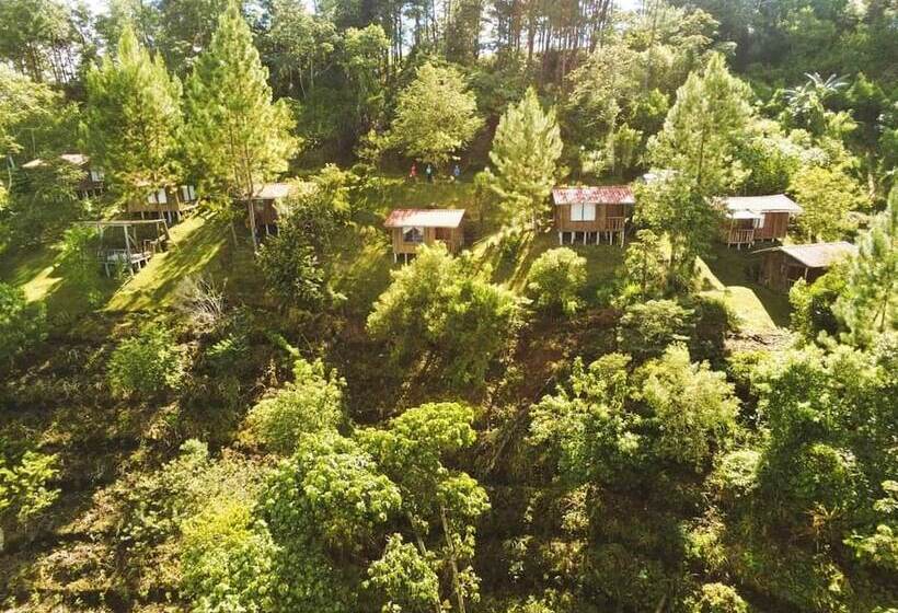 فندق Cabañas Don Camilo Lodge