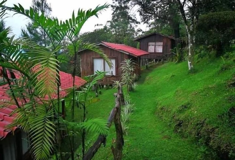 فندق Cabañas Don Camilo Lodge