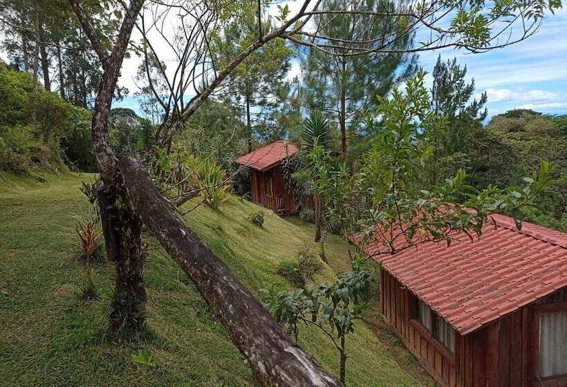 فندق Cabañas Don Camilo Lodge