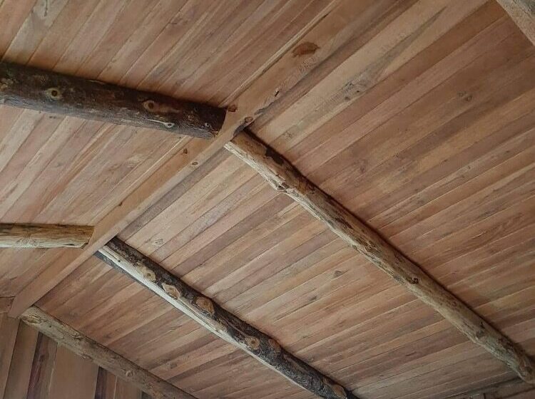 فندق Cabañas Don Camilo Lodge