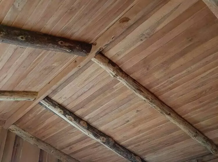 Hotelli Cabañas Don Camilo Lodge