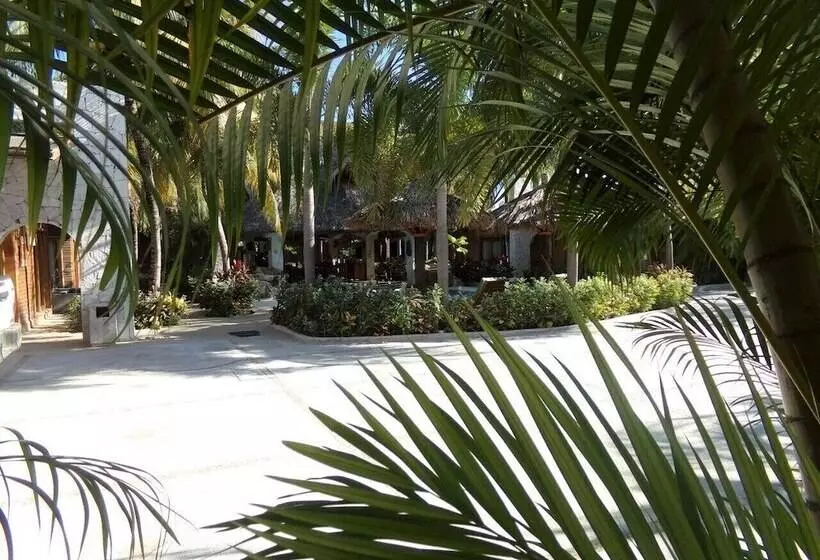 هتل Casa Del Lirio Diamante