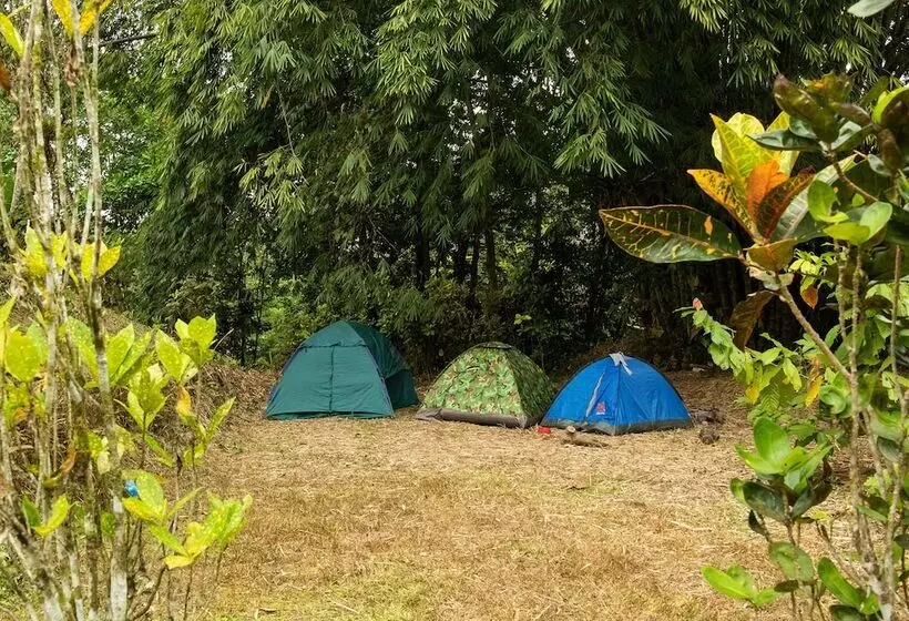 ホテル Puerto Quito Lodge