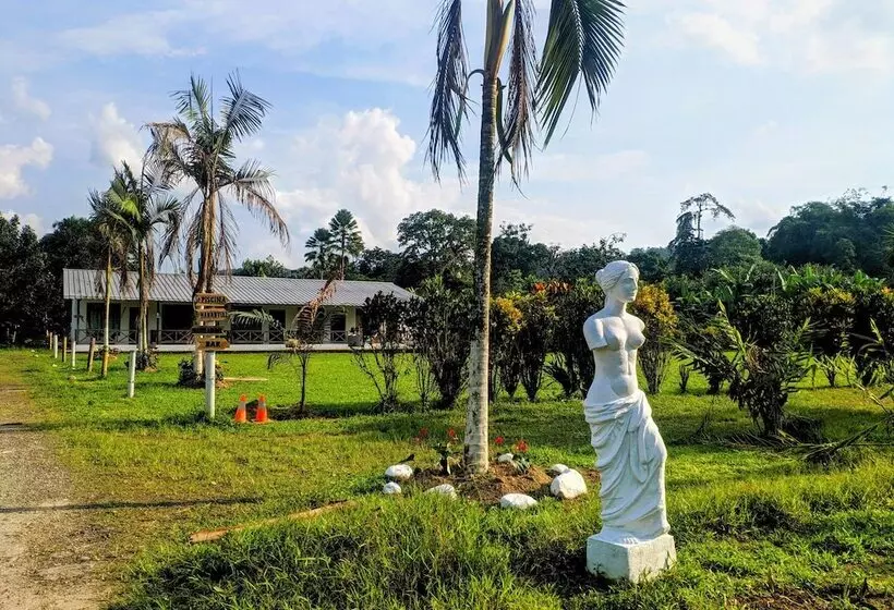 ホテル Puerto Quito Lodge