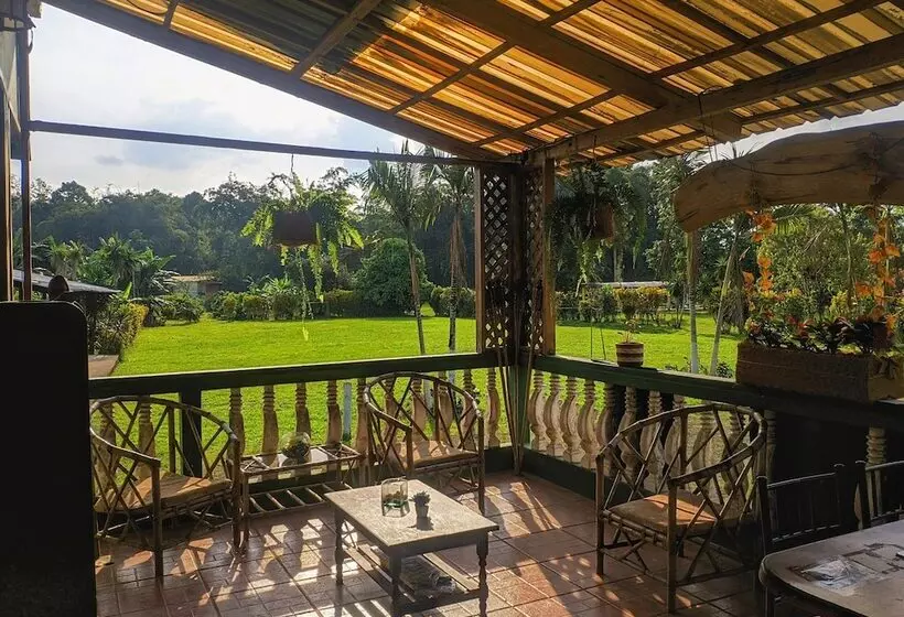 ホテル Puerto Quito Lodge