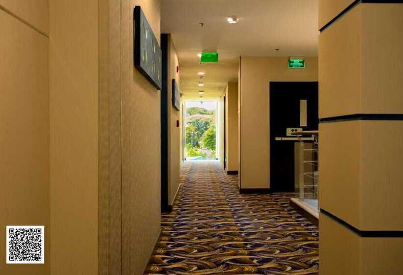 هتل Royal Elim Internacional